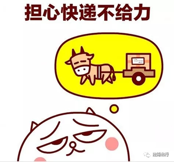 隴運集團武都汽車站、成縣汽車站、康縣汽車站快運